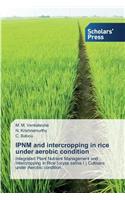 IPNM and intercropping in rice under aerobic condition