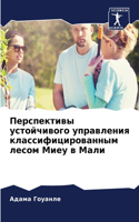 Перспективы устойчивого управления клас&