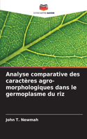 Analyse comparative des caractères agro-morphologiques dans le germoplasme du riz
