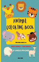 Animal Coloring Book