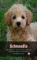 Schnoodle