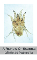 A Review Of Scabies_ Definition And Treatment Tips