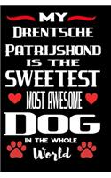 My Drentsche Patrijshond Is The Sweetest Most Awesome Dog In The Whole World