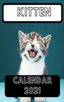 Kitten Calendar 2021