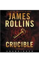 Crucible CD: A Thriller: A Thriller