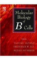 Molecular Biology of B Cells