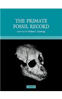 Primate Fossil Record