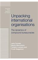 Unpacking International Organisations