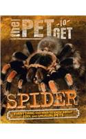The Pet to Get: Spider