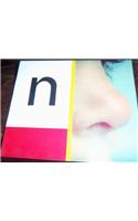 Rigby PM: Alphabet Starters Letter N