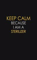 Keep Calm Because I Am A Sterilizer: Motivational: 6X9 unlined 129 pages Notebook writing journal