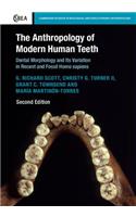 Anthropology of Modern Human Teeth