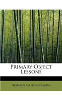 Primary Object Lessons