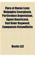 Flora of Nuevo Leon: Trees of Nuevo Leon, Malpighia Emarginata, Pecan, Cornus Florida, Limber Pine, Diospyros Texana, Guaiacum Angustifolium(English)