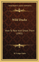 Wild Ducks