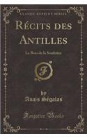 Rï¿½cits Des Antilles: Le Bois de la Soufriï¿½re (Classic Reprint)
