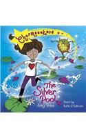 The Silver Pool