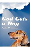 God Gets a Dog
