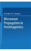 Microwave Propagation in Ferrimagnetics