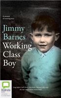 Working Class Boy