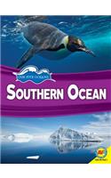 Southern Ocean: (Our Five Oceans)