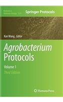 Agrobacterium Protocols