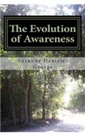 Evolution of Awareness