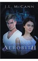 The Twins of Aerobith Past, Present, Future, and Prophecy