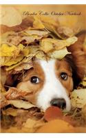 Border Collie October Notebook Border Collie Record, Log, Diary, Special Memories, To Do List, Academic Notepad, Scrapbook & More