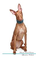 Pharaoh Hound Affirmations Workbook Pharaoh Hound Presents: Positive and Loving Affirmations Workbook. Includes: Mentoring Questions, Guidance, Supporting You.