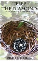 Telep the Diamond: (The Aglaril Cycle Saga: An Epic Fantasy)