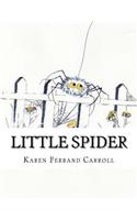 Little Spider