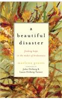 Beautiful Disaster