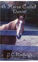 Horse Called Daniel