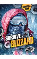 Survive a Blizzard: (Survival Zone)
