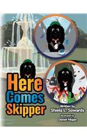 Here Comes Skipper