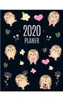 Igel Planer 2020