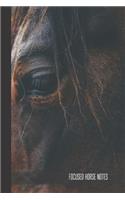 Focused Horse Notes