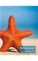 Daily Planner January-December 2020: Large, 1 day per page. Daily Schedule, Goals, To-Dos, Assignments and Tasks. Incl. Gratitude section, Meal planner, Mood and Water intake trackers. 