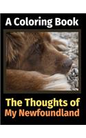 The Thoughts of My Newfoundland: A Coloring Book