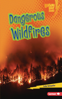 Dangerous Wildfires