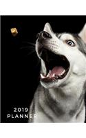 2019 Planner: Weekly & Monthly Calendar Schedule Organizer Inspirational Quotes, Notes & Check Listjanuary2019 Through to December 2019 Paperback