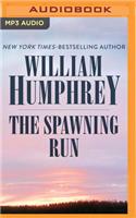Spawning Run