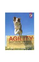 Agility Right from the Start