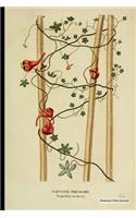 Botanical Print Journal