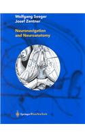 Neuronavigation and Neuroanatomy