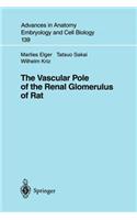 Vascular Pole of the Renal Glomerulus of Rat