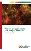 Tópicos em cosmologia com campos escalares