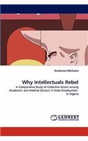 Why Intellectuals Rebel