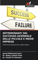 Determinanti del Successo Aziendale Delle Piccole E Medie Imprese